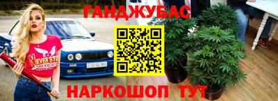 PSILOCYBIN Новозыбков