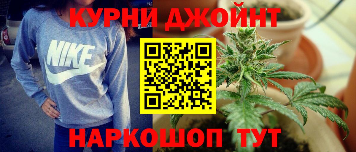 Канабис сатива Чайковский
